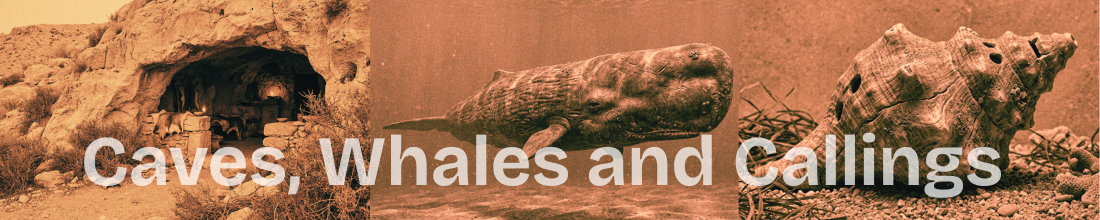 Caves, Whales, and Callings header